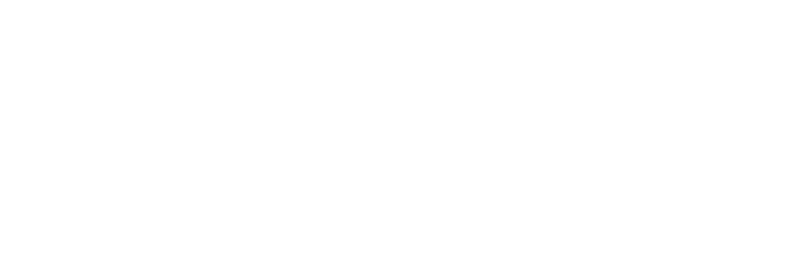 Borusan Ventures
