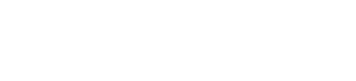 Borusan Ventures