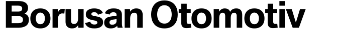Borusan Otomotiv